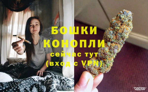 бошки Арсеньев