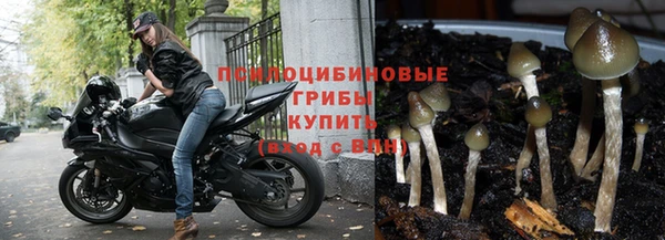 бошки Арсеньев